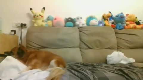 Brian and Logan Brogan online show from April 17, 2026, 7:17 pm