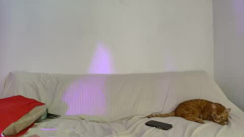 nikki_uwu online show from June 2, 2026, 8:00 pm