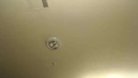 Nikki Mastersgirl1091 online show from April 10, 2026, 1:38 pm