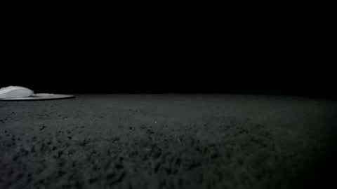 Niquita Sparkles online show from January 24, 2025, 9:49 am