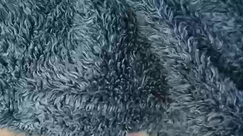 Snapshot of nineinchhard chatting on February 19, 2026, 10:55 am nineinchhard online show from February 19, 2026, 10:55 am