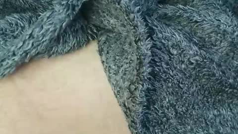 Snapshot of nineinchhard chatting on February 24, 2026, 10:35 am nineinchhard online show from February 24, 2026, 10:35 am