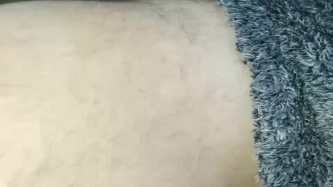 Snapshot of nineinchhard chatting on March 2, 2026, 10:55 am nineinchhard online show from March 2, 2026, 10:55 am