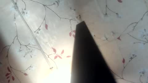 Snapshot of nitchiefucker chatting on May 17, 2026, 10:55 am Nadz online show from May 17, 2026, 10:55 am