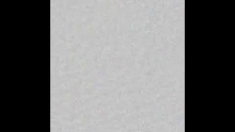 Nitha Gonzalez online show from October 13, 2025, 7:03 pm