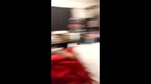 noluvlost24 online show from March 31, 2026, 8:04 am