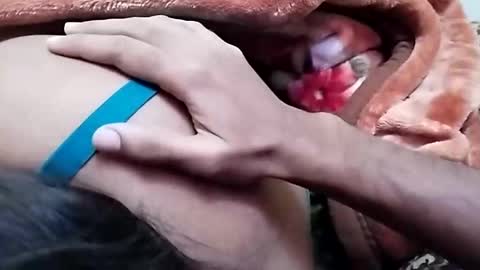 Snapshot of nooby942461 chatting on December 26, 2024, 6:52 am sim nib online show from December 26, 2024, 6:52 am