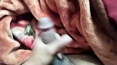 Snapshot of nooby942461 chatting on December 28, 2024, 5:44 am sim nib online show from December 28, 2024, 5:44 am