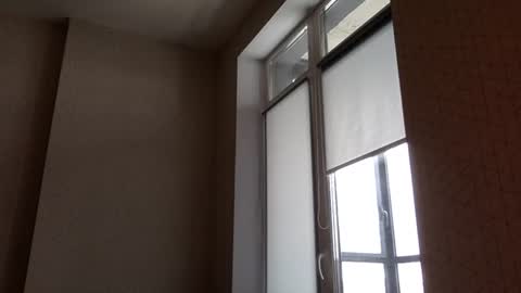 Snapshot of north_justin chatting on March 5, 2026, 12:23 pm Justin online show from March 5, 2026, 12:23 pm