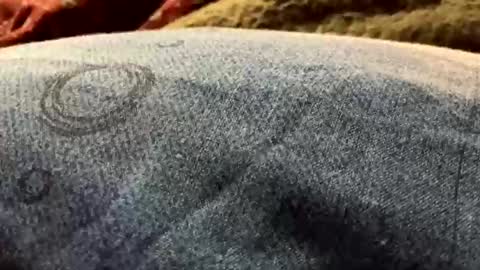 DarqLight online show from December 19, 2024, 6:01 am