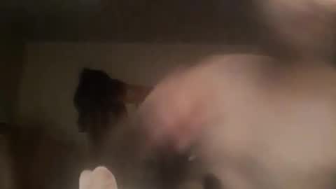 Snapshot of novasocia chatting on September 23, 2025, 4:26 am novasocia online show from September 23, 2025, 4:26 am