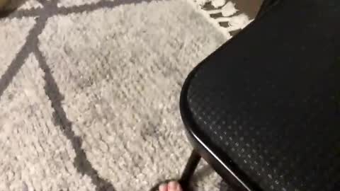 nursesteve online show from November 1, 2025, 2:57 am