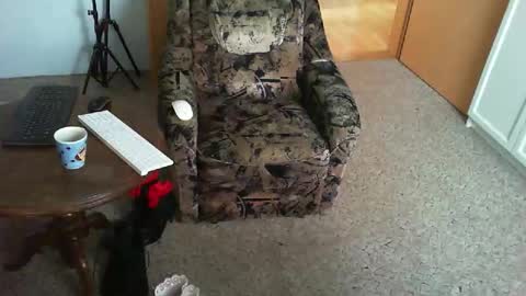 Strumpfhose online show from November 29, 2025, 9:01 am