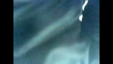 occhio00 online show from February 9, 2025, 12:41 pm