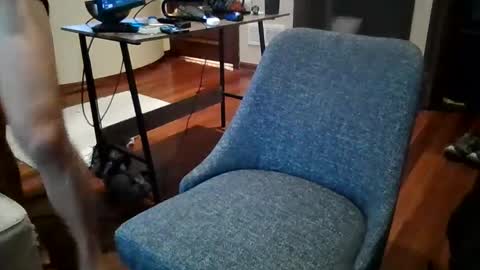 Sky online show from December 20, 2024, 2:49 pm