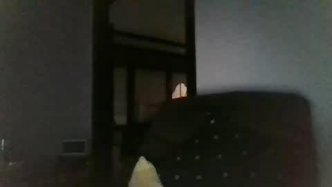 Snapshot of office_slr chatting on December 26, 2024, 7:45 am Officer online show from December 26, 2024, 7:45 am