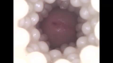 ohioguy4201985 online show from April 8, 2026, 9:48 pm