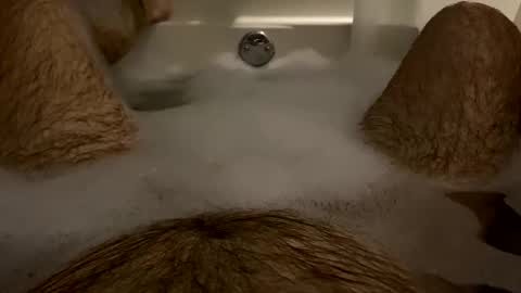 oldbones2 online show from January 28, 2025, 1:50 am