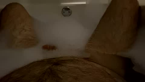 oldbones2 online show from February 9, 2025, 3:11 am