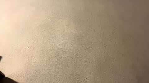 amy 3 online show from September 28, 2025, 8:47 pm