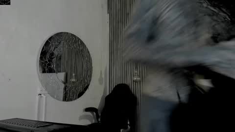     ... online show from February 15, 2026, 3:47 am