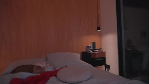 Snapshot of onelittlemermaid chatting on December 27, 2024, 6:53 pm Ariel online show from December 27, 2024, 6:53 pm