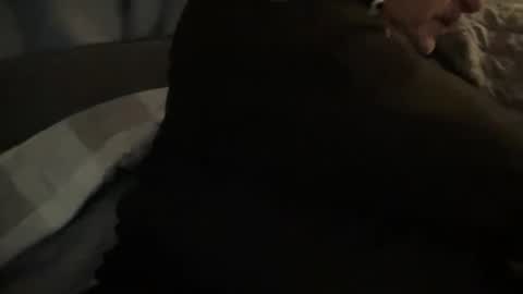 onthedlhere online show from December 24, 2024, 12:00 am