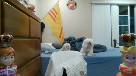 Snapshot of oorah1775 chatting on March 2, 2025, 2:10 pm oorah1775 online show from March 2, 2025, 2:10 pm