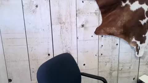 kinkynerd online show from February 24, 2025, 4:47 pm