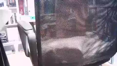 oren online show from March 1, 2025, 2:44 pm