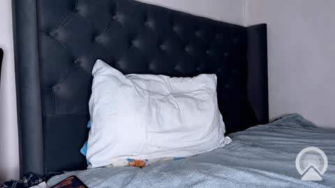 origamicat online show from January 26, 2025, 12:22 pm