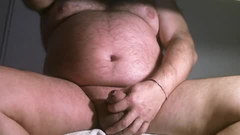 Oso Licencioso online show from April 7, 2026, 5:57 pm