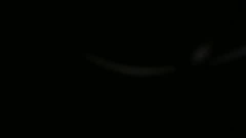 Ossi online show from November 1, 2025, 10:01 pm