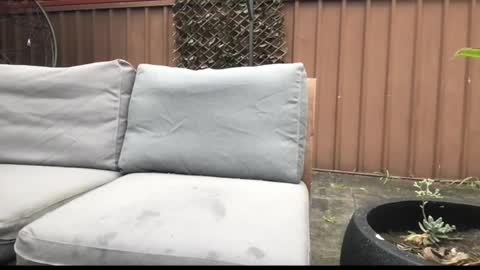 Snapshot of ozsurferboy773375 chatting on September 27, 2025, 12:59 am Hrny aussie surfer online show from September 27, 2025, 12:59 am