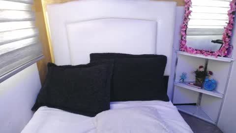 Snapshot of palmer_mix chatting on January 11, 2025, 12:40 pm Palmer online show from January 11, 2025, 12:40 pm