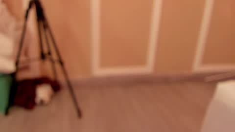 Snapshot of pamelamendez_1 chatting on February 27, 2026, 4:56 am pamelamendez_1 online show from February 27, 2026, 4:56 am