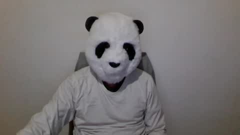 Snapshot of panda_feliz chatting on December 6, 2024, 7:01 pm Panda online show from December 6, 2024, 7:01 pm