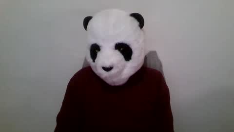 Snapshot of panda_feliz chatting on January 23, 2025, 12:52 pm Panda online show from January 23, 2025, 12:52 pm