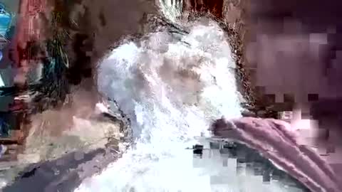 papajb70 online show from January 20, 2025, 3:26 am