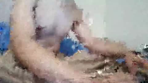 parejitafiel2309 online show from November 9, 2025, 8:18 pm