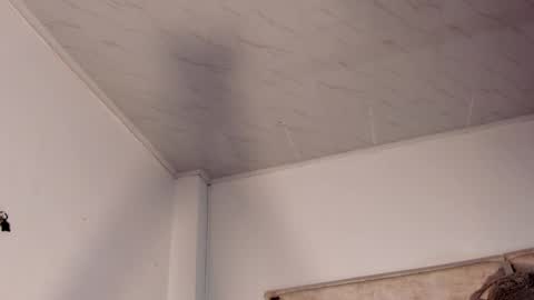 patrik online show from April 14, 2026, 2:06 am