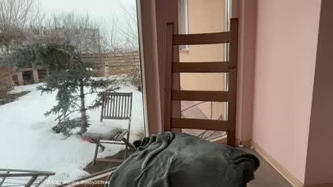 Andreea online show from February 24, 2026, 7:06 am