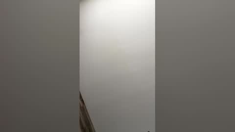 paul856963 online show from March 9, 2026, 9:19 pm