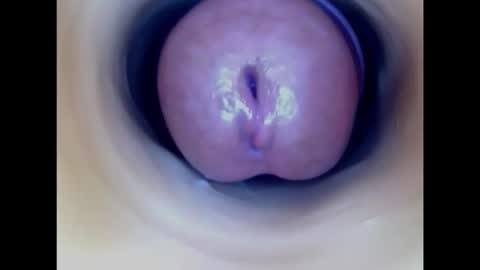 Paula 18 Aninhos online show from February 17, 2026, 4:35 pm