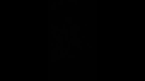 paulobascet online show from December 2, 2024, 1:36 am