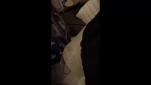 paulobascet online show from January 12, 2025, 3:28 am