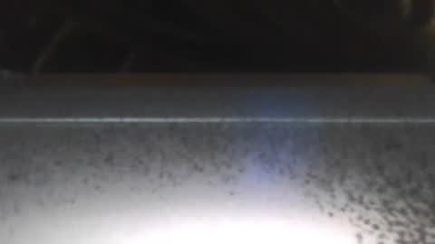 Snapshot of paulstetson chatting on December 26, 2024, 8:00 pm paulstetson online show from December 26, 2024, 8:00 pm