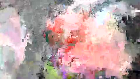 paulymcdona online show from April 10, 2026, 1:49 pm