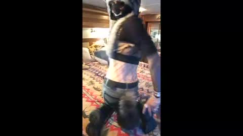 Pearl online show from April 19, 2026, 9:28 pm