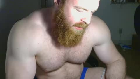 Pec inspector online show from February 14, 2025, 5:41 am